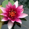 hajarbeauty05