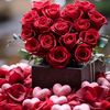 nurhossain1120