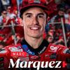marquestilham8