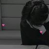 jeonbunnys_girl