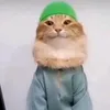 scatpogs