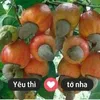 khuyennguyenthi75