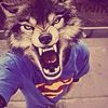 mishannes.apie