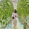 kieutrang363garden