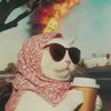 rwase_mahmod