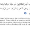 mahmud9263