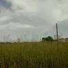 tettysafarmer