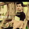 hamza.ali.8241