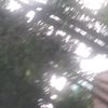 kauaysaa_c