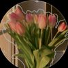 rakshya_1