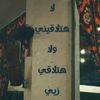 ahmadbwshteawy2007