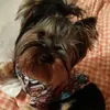 nutellaki13
