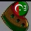 gulbacha579