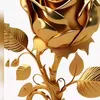ysra70