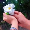 user9049430014090