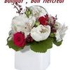 yvesrose.joseph