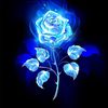 maribel9715