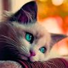 ataberk_rs