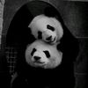fatma_hasan.11