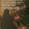 lina_lina628