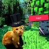 roy_qs18