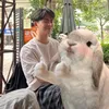 bapkobt231