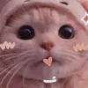 nhqunh72
