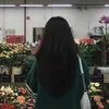 alyysscutis1tg