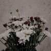 farin_prs