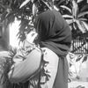 pretty_lioness500