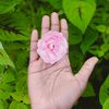 thishanthini29