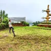 jeffreybaguio893