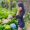 ahn_nhy