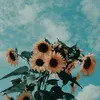 _ily.vibess