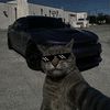 isomar79