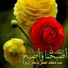 habibanasr891
