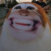 crokodildo_penisini2
