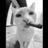 x_manonaaaaa_x