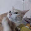fikram_bubu