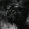 santsz_fx7