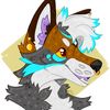 naicheyote