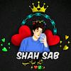 syed_meesamali_05