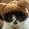 Ong-the cat licking