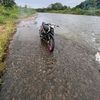 dimas_rmdann