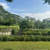 pingkoy112009