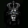 bad_lion_2226