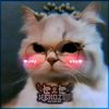 bng_nekoz