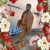 shahzebmarwat82
