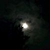 tuqa_bradyah