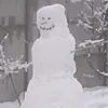 ____j23___
